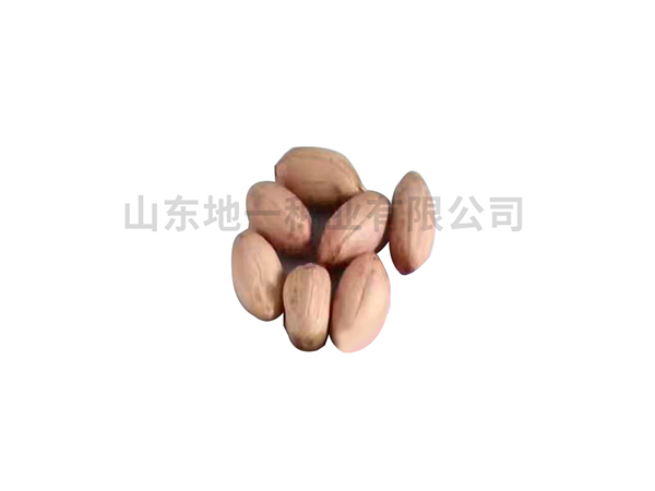 濰花22號(hào)種子