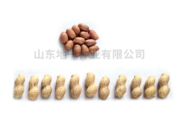 小日本廠家